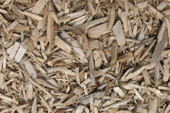 biomass boilers Tudhoe